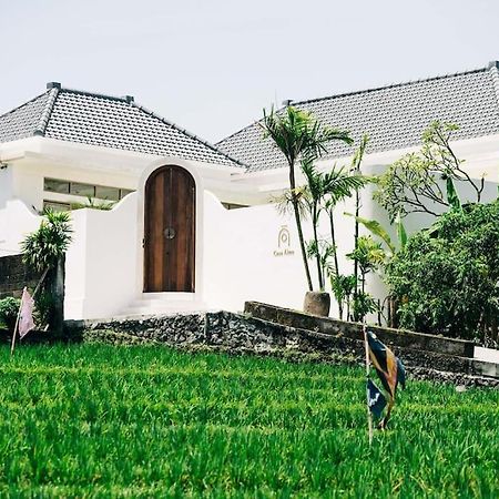 New Design Villa Casa Alma 3Bdr With Private Pool, Canggu Dış mekan fotoğraf